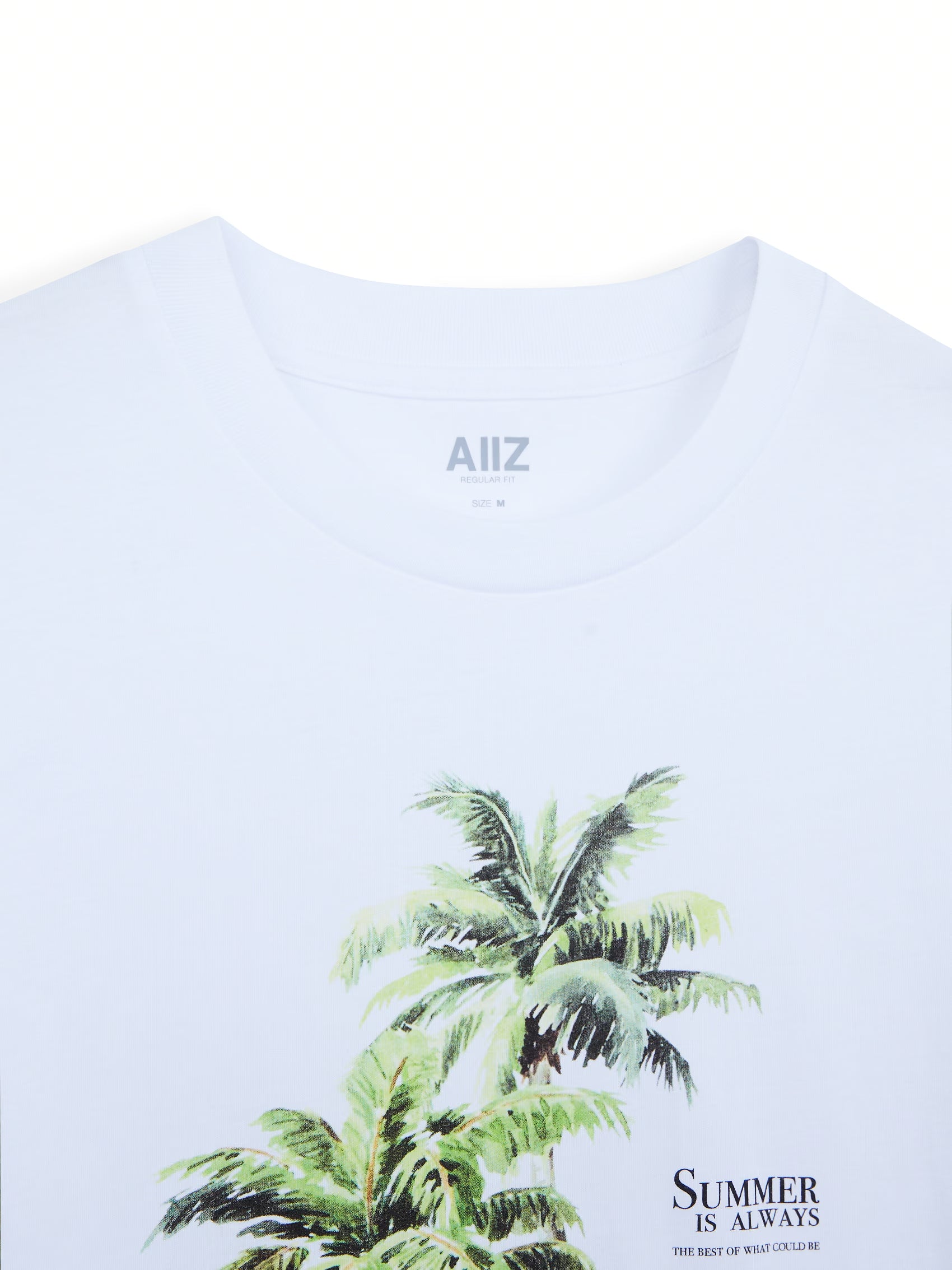 AIIZ Men's Graphic T-Shirt