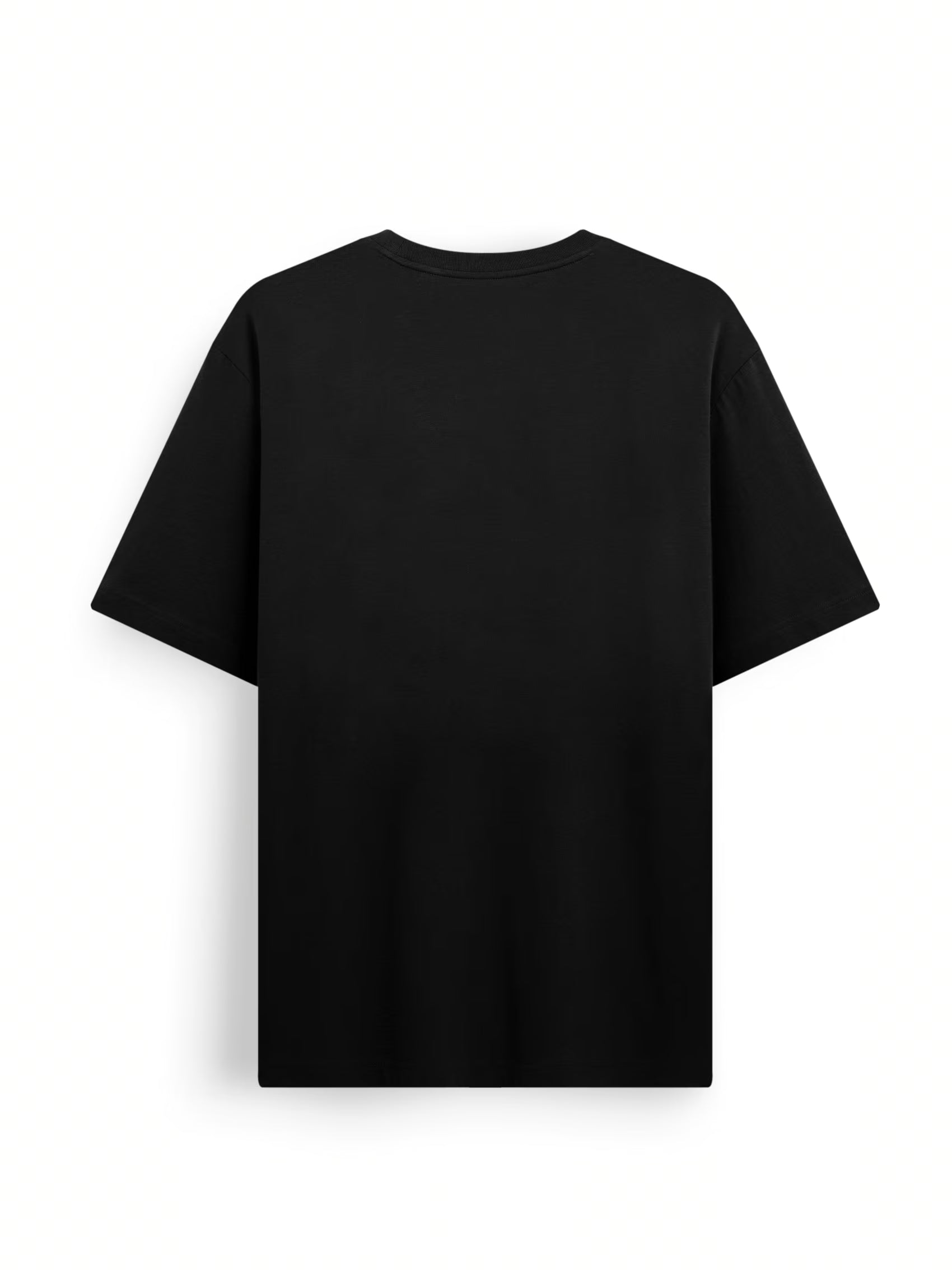 AIIZ Men's Graphic T-Shirt
