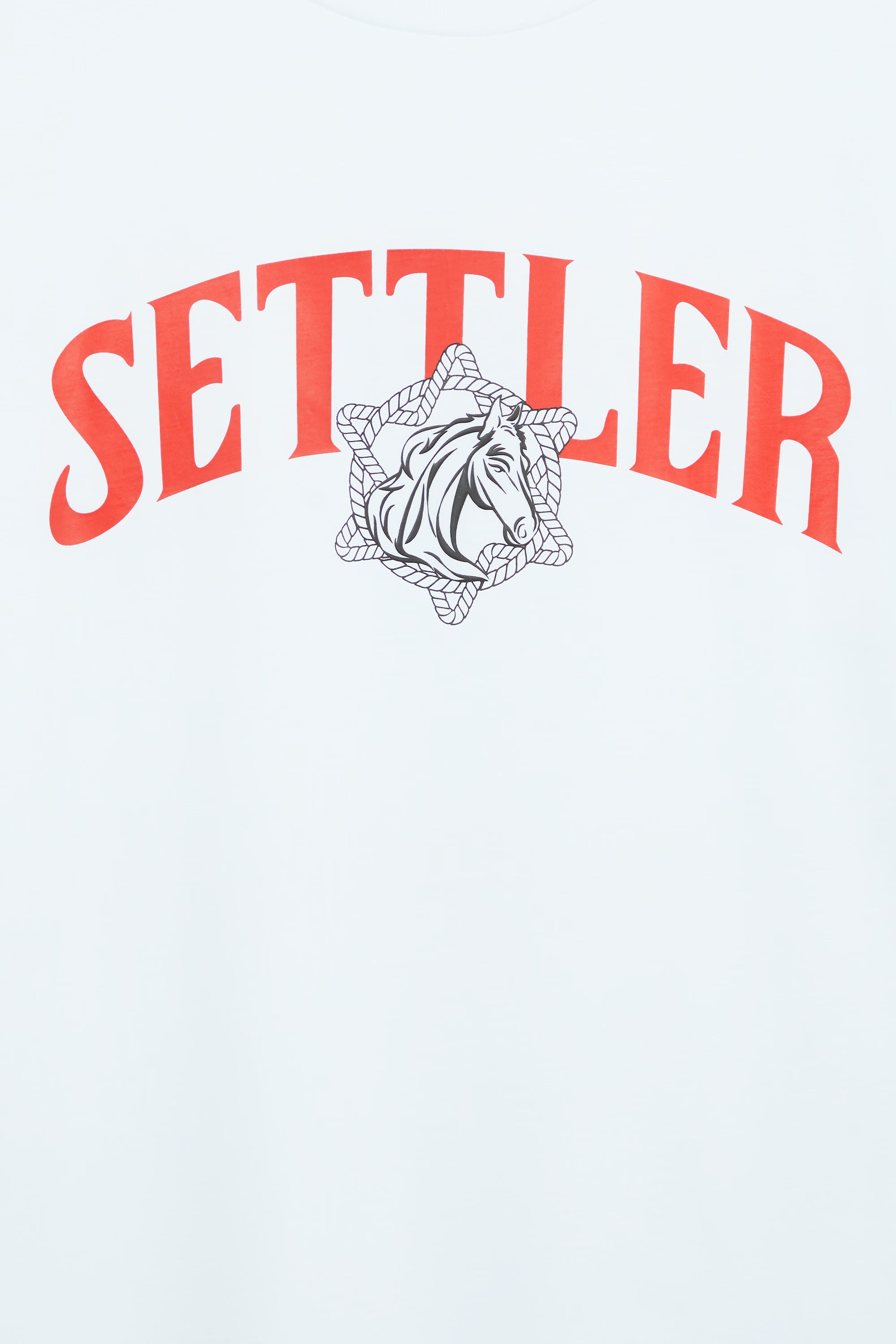 AIIZ Men's Graphic T-Shirt