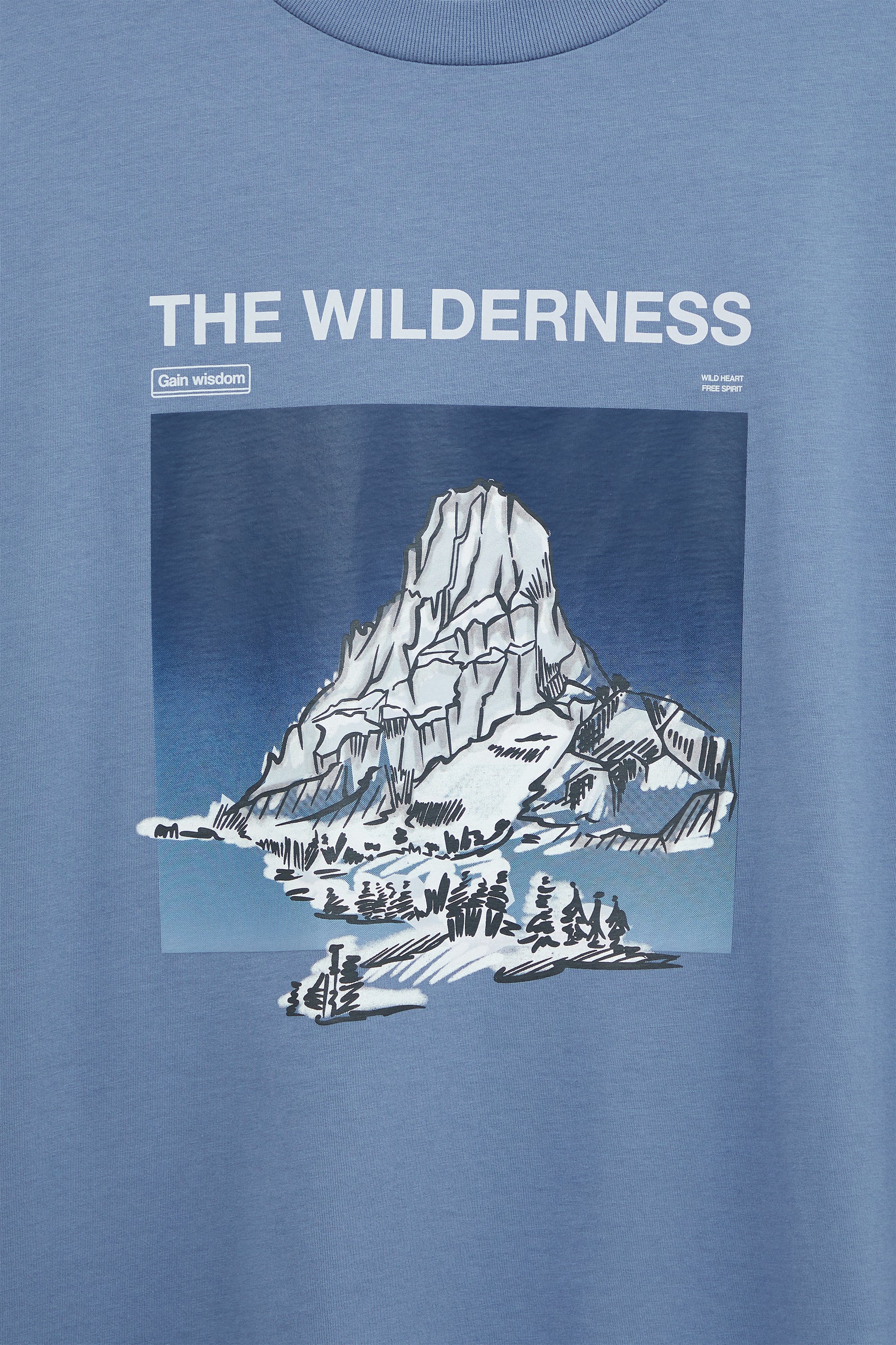 AIIZ Men's Graphic T-Shirt