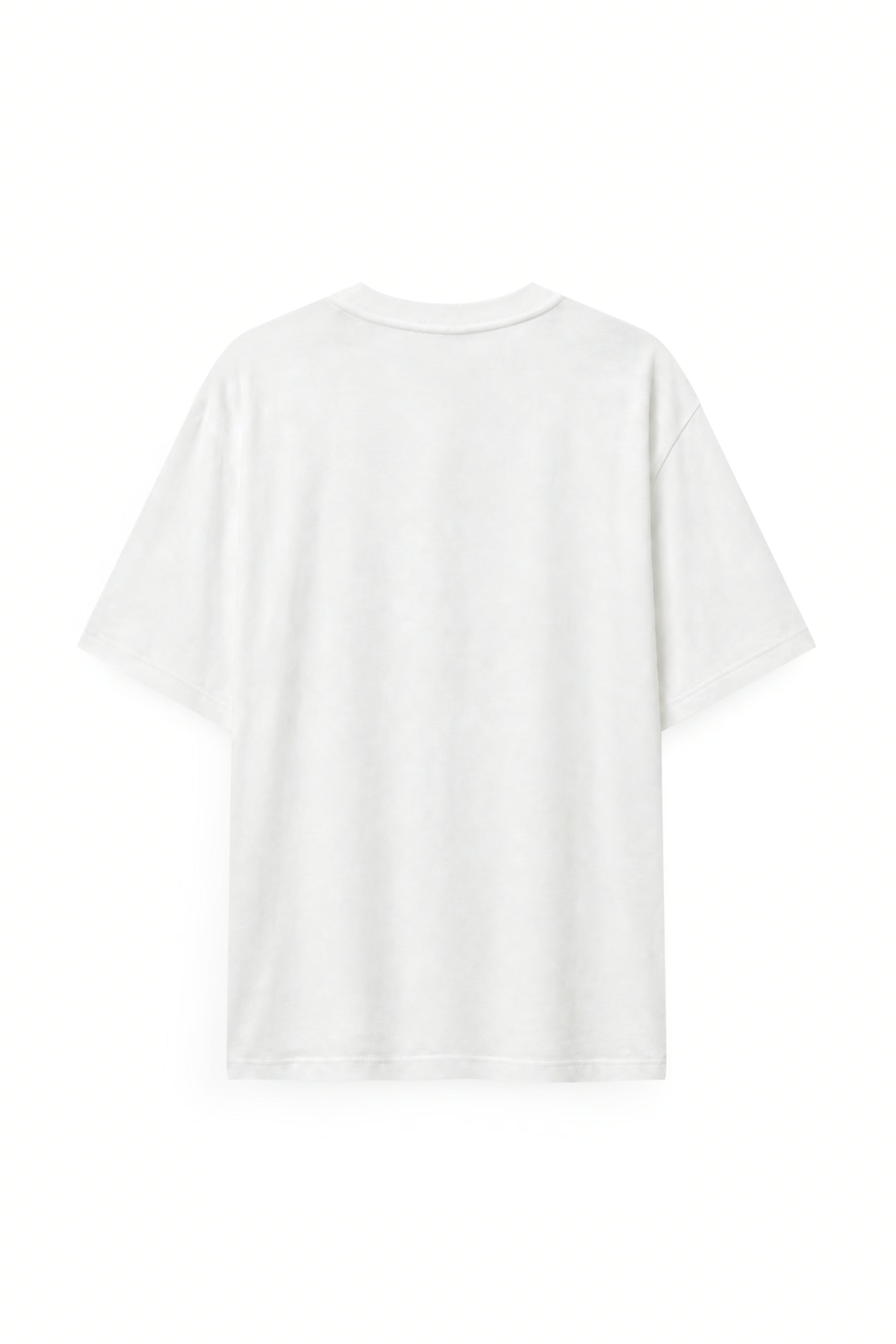 AIIZ Men's Graphic T-Shirt