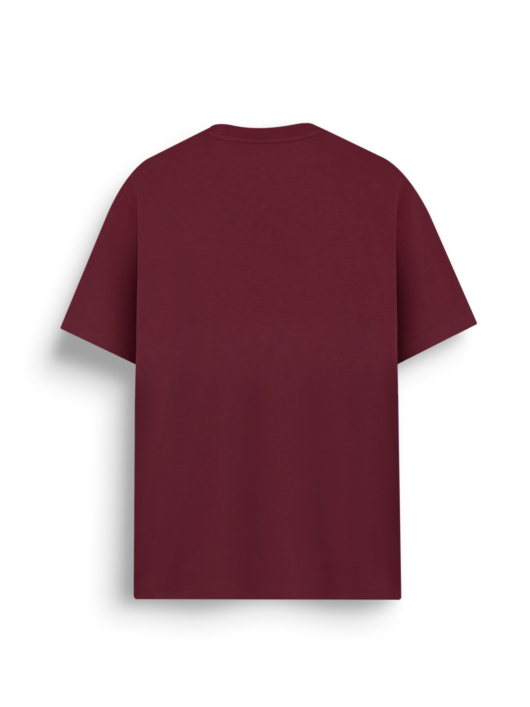Men’s Cotton Polyester AIIZ Logo T-Shirt