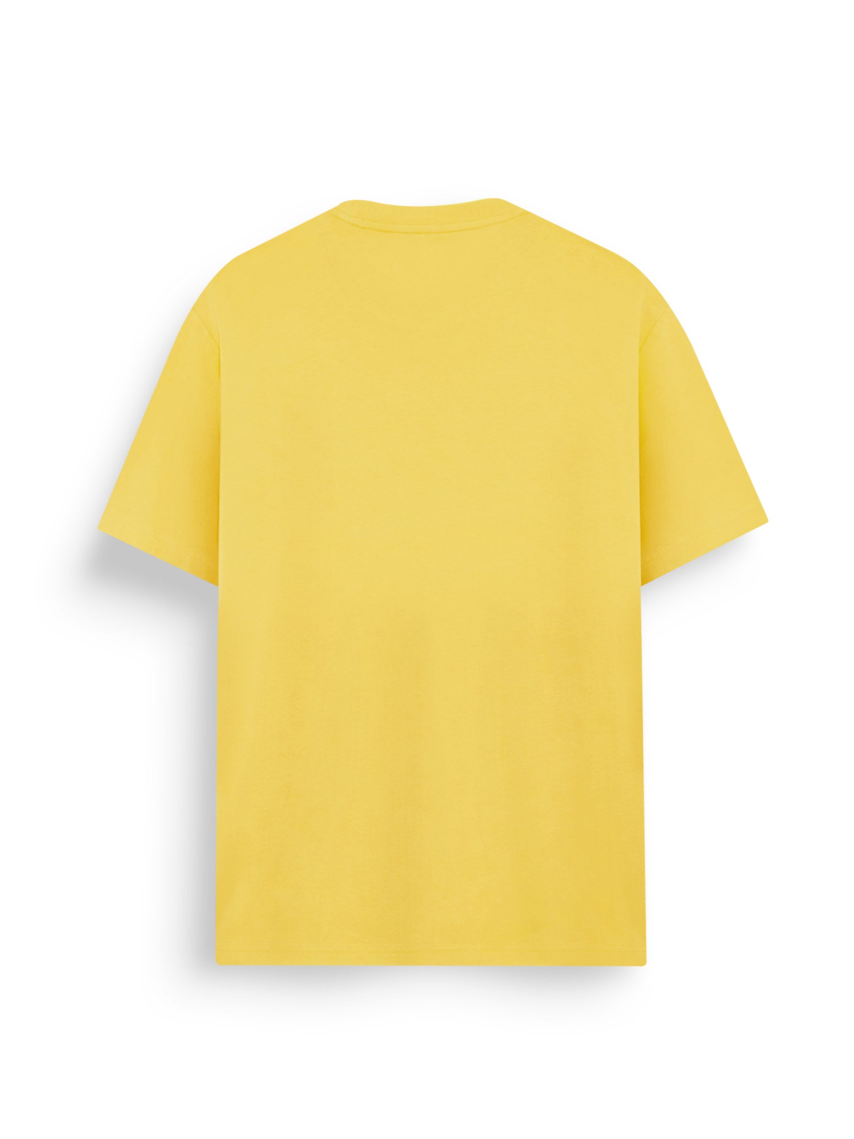 AIIZ Men's Lion T-Shirt