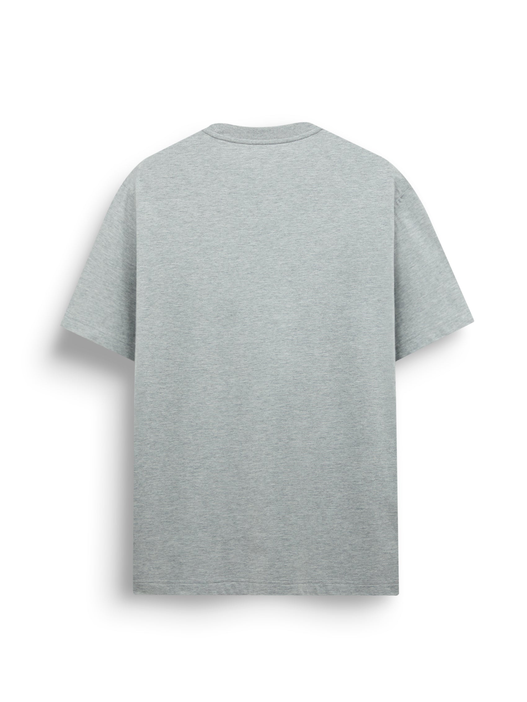 AIIZ Men's Lion T-Shirt