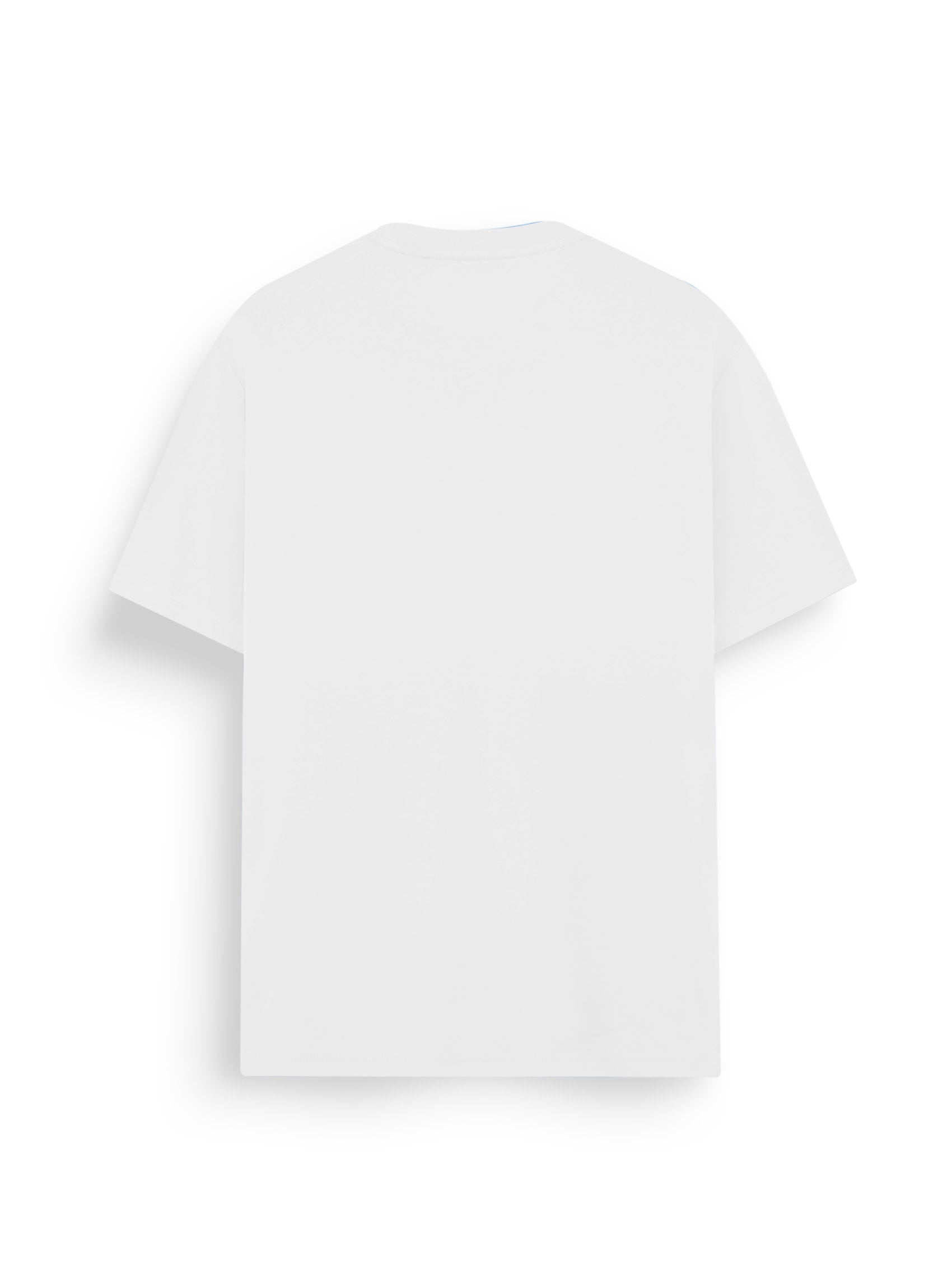 AIIZ Men's Lion T-Shirt