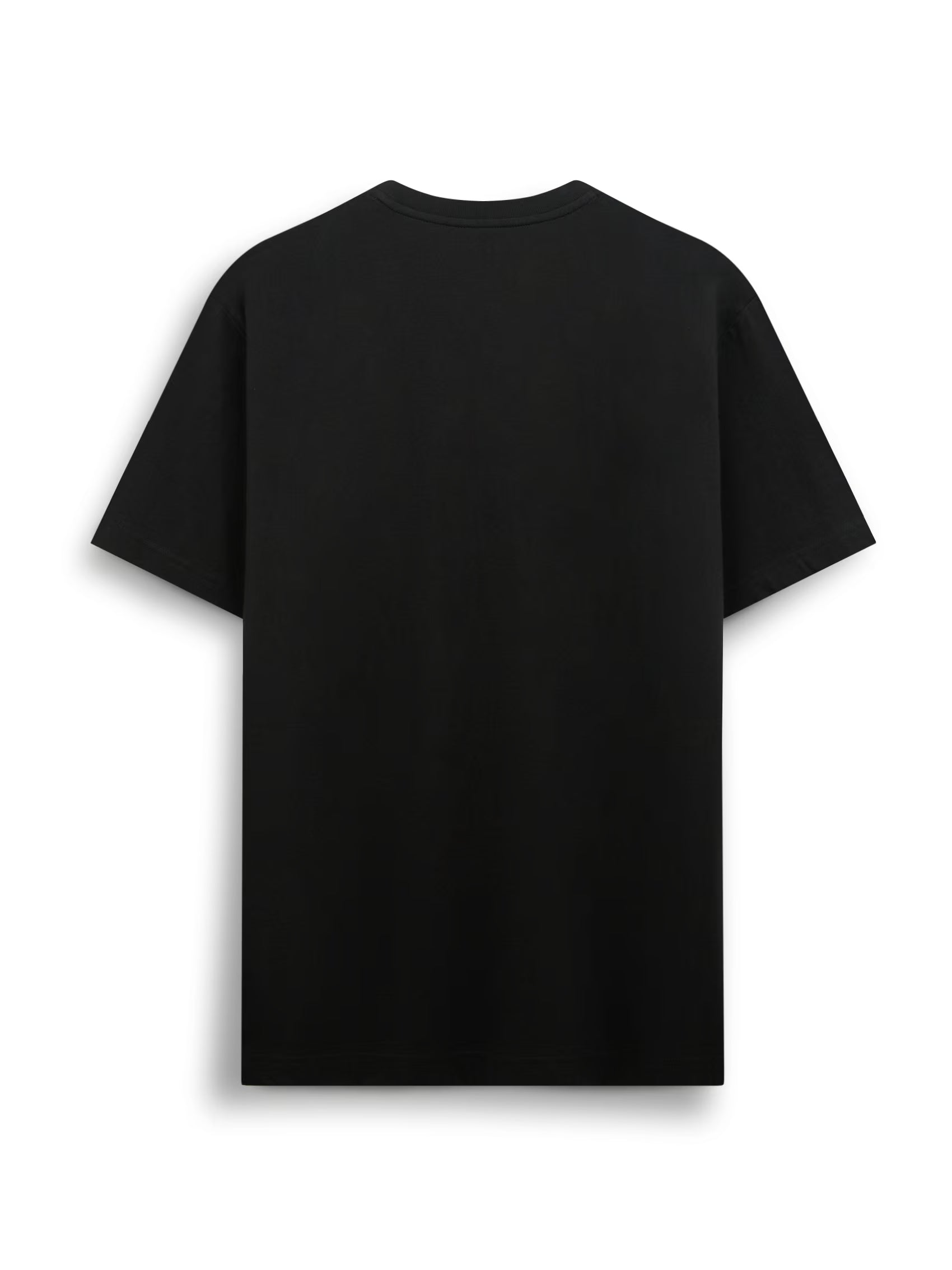 AIIZ Men's Big Lion T-Shirt