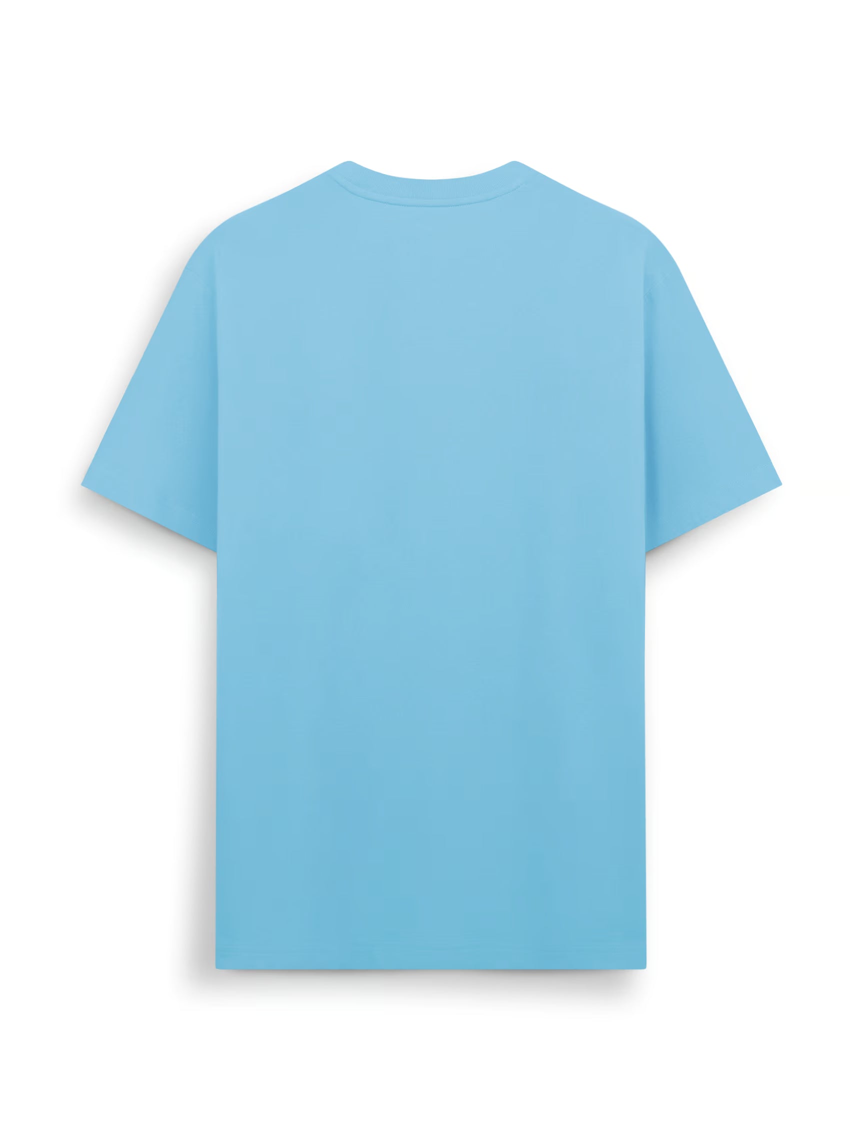 AIIZ Men's Big Lion T-Shirt