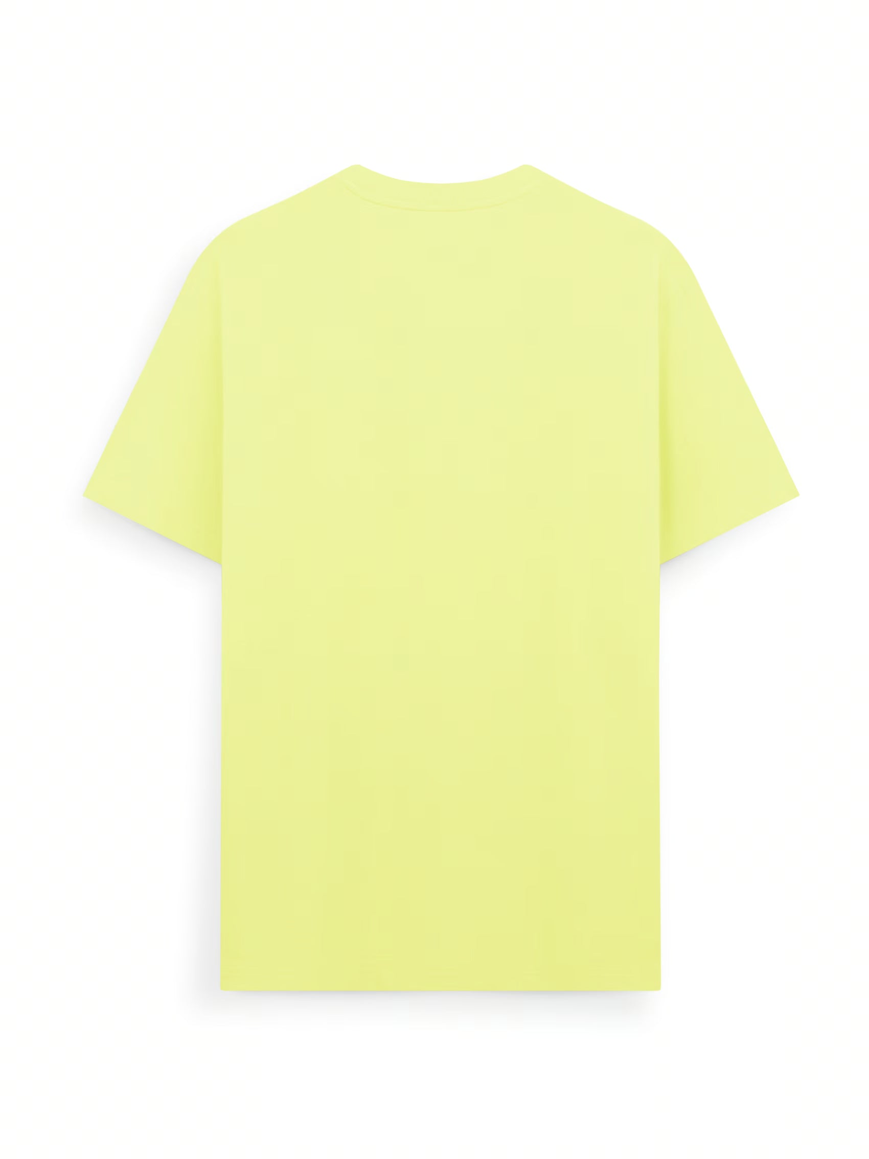 AIIZ Men's Big Lion T-Shirt