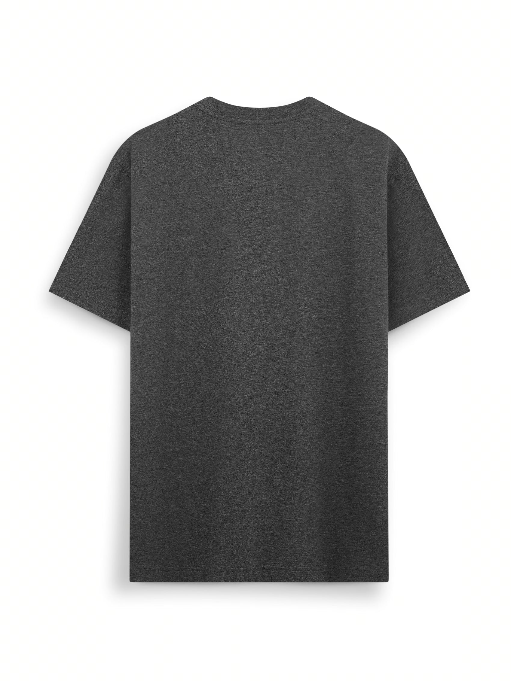 AIIZ Men's Big Lion T-Shirt
