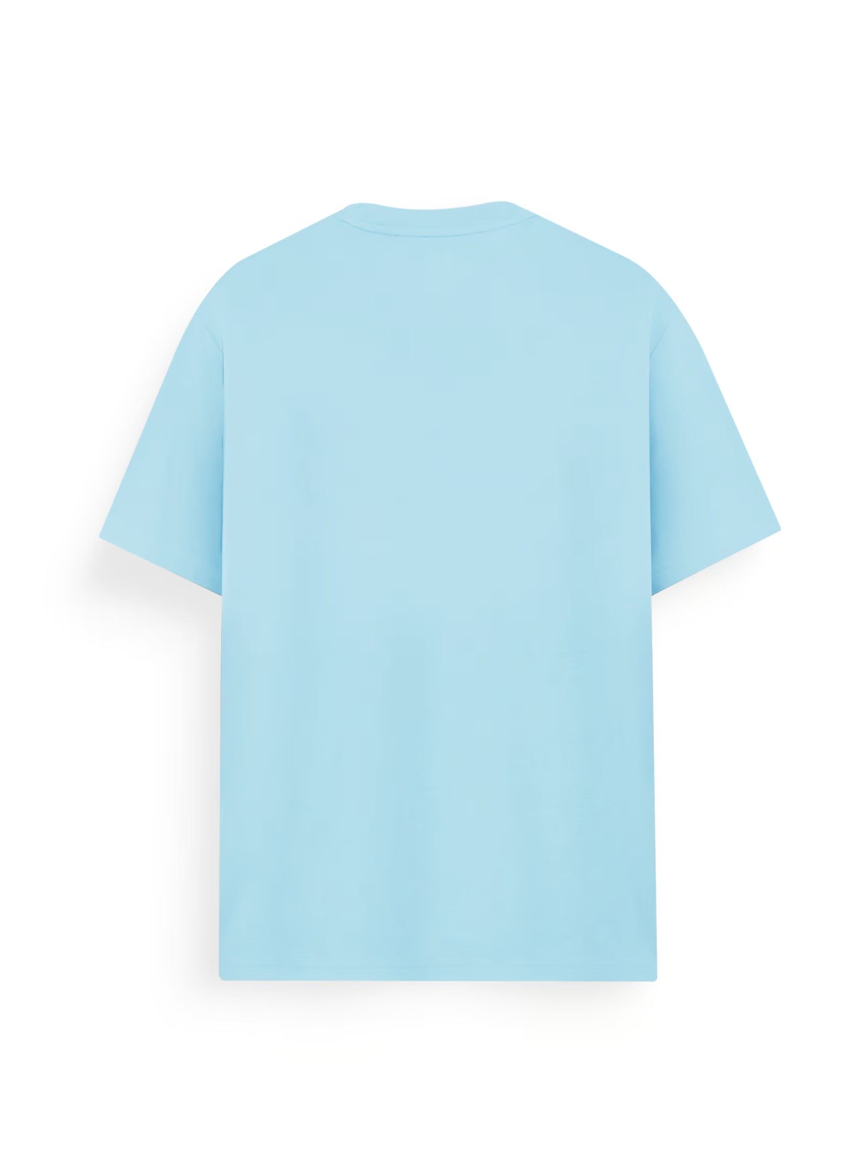AIIZ Men's Big Lion T-Shirt