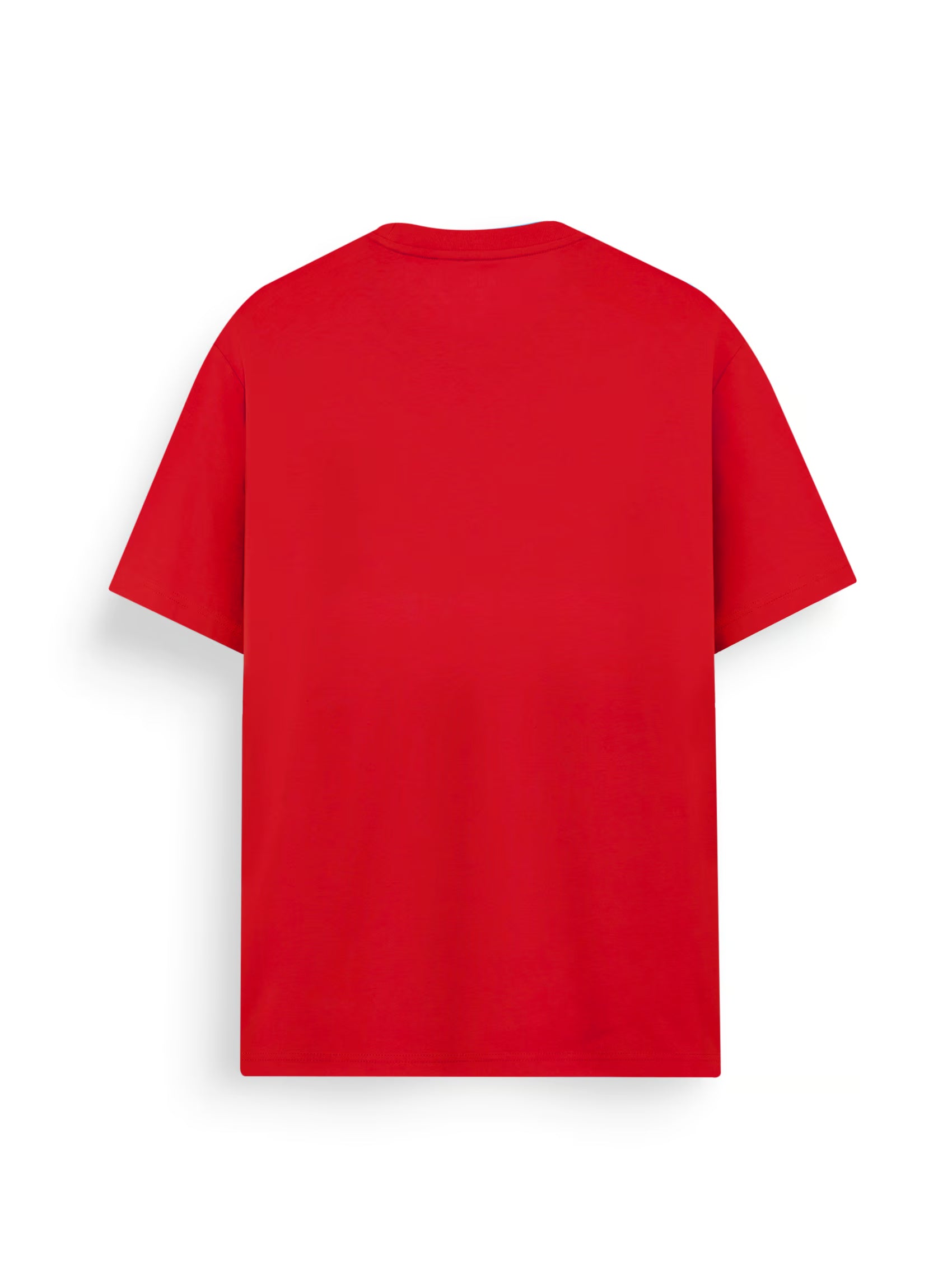 AIIZ Men's Big Lion T-Shirt