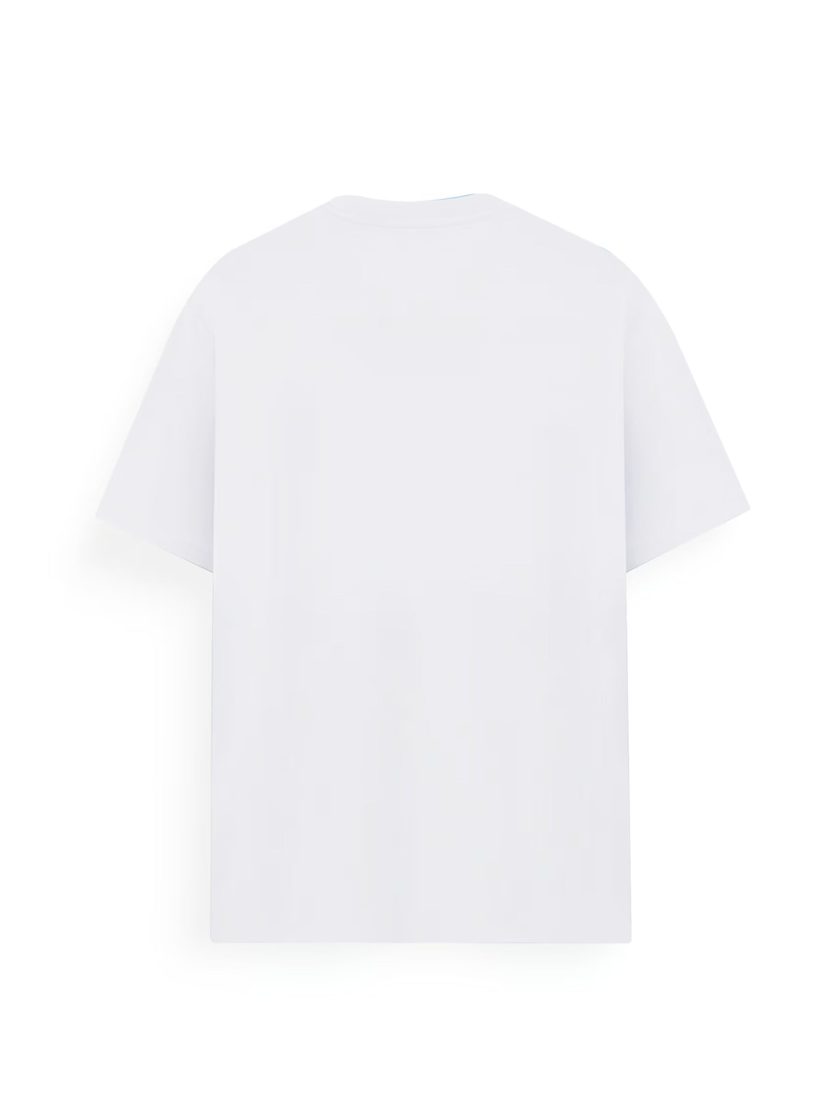 AIIZ Men's Big Lion T-Shirt