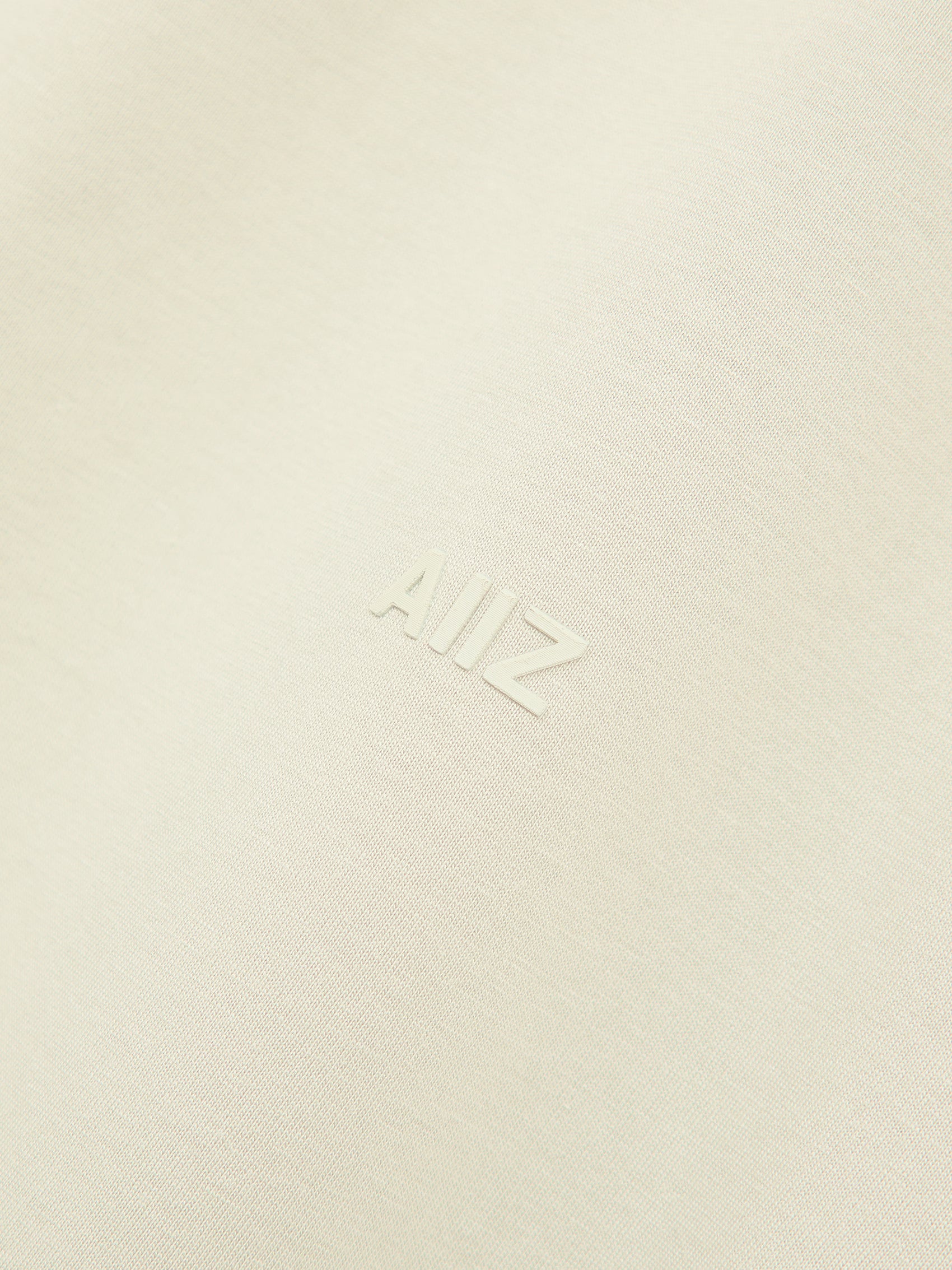 AIIZ Men's AIIZ Logo T-Shirt