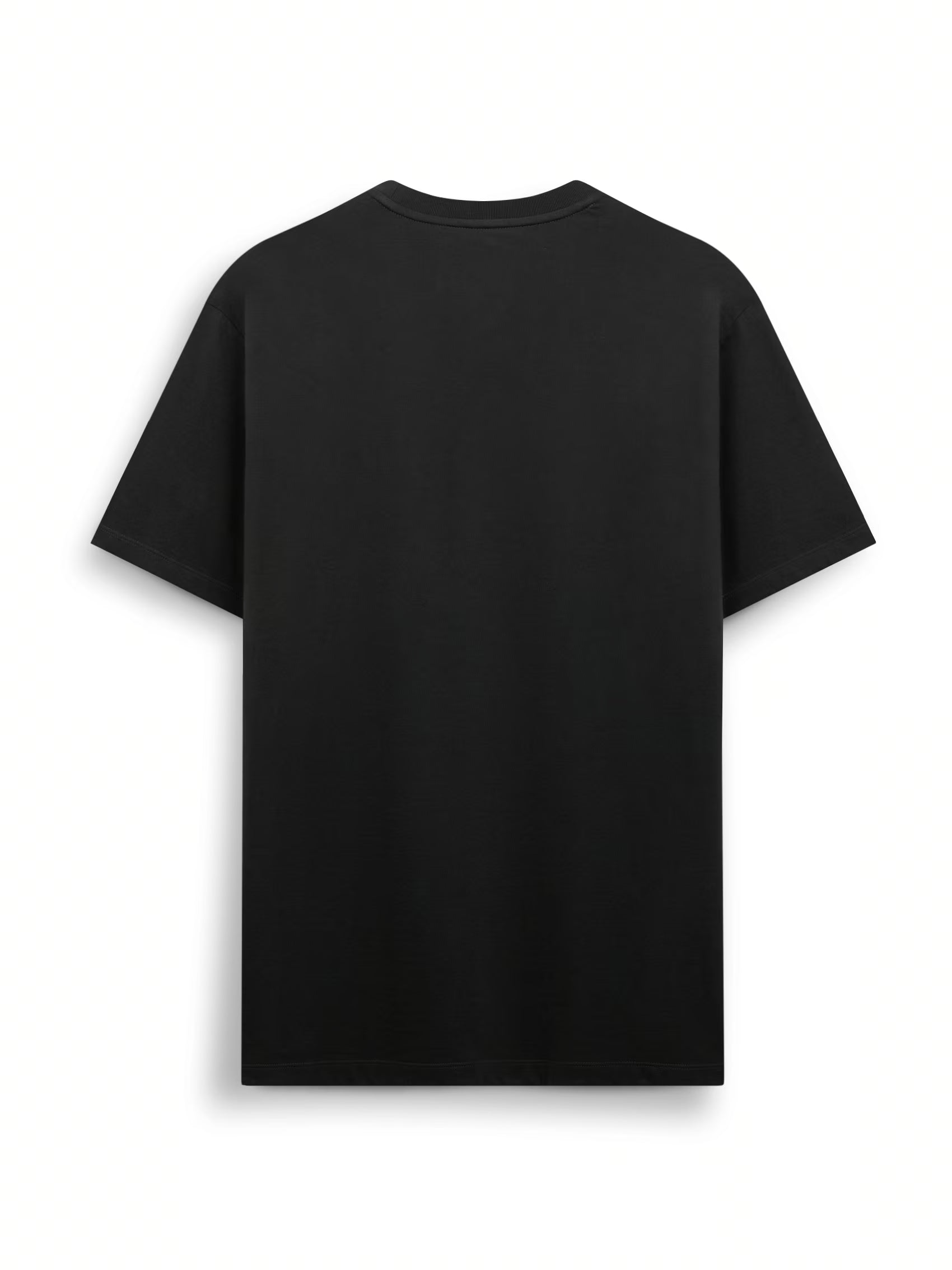 AIIZ Men's AIIZ Logo T-Shirt