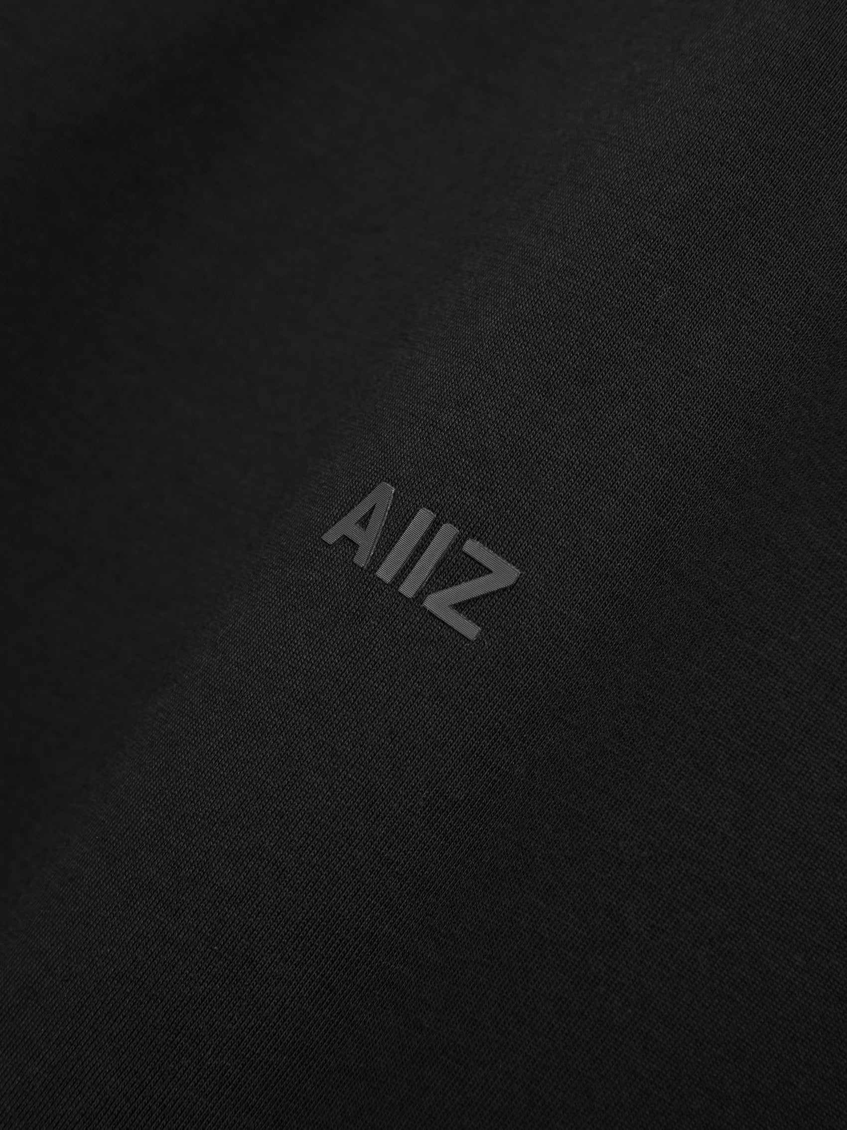 AIIZ Men's AIIZ Logo T-Shirt