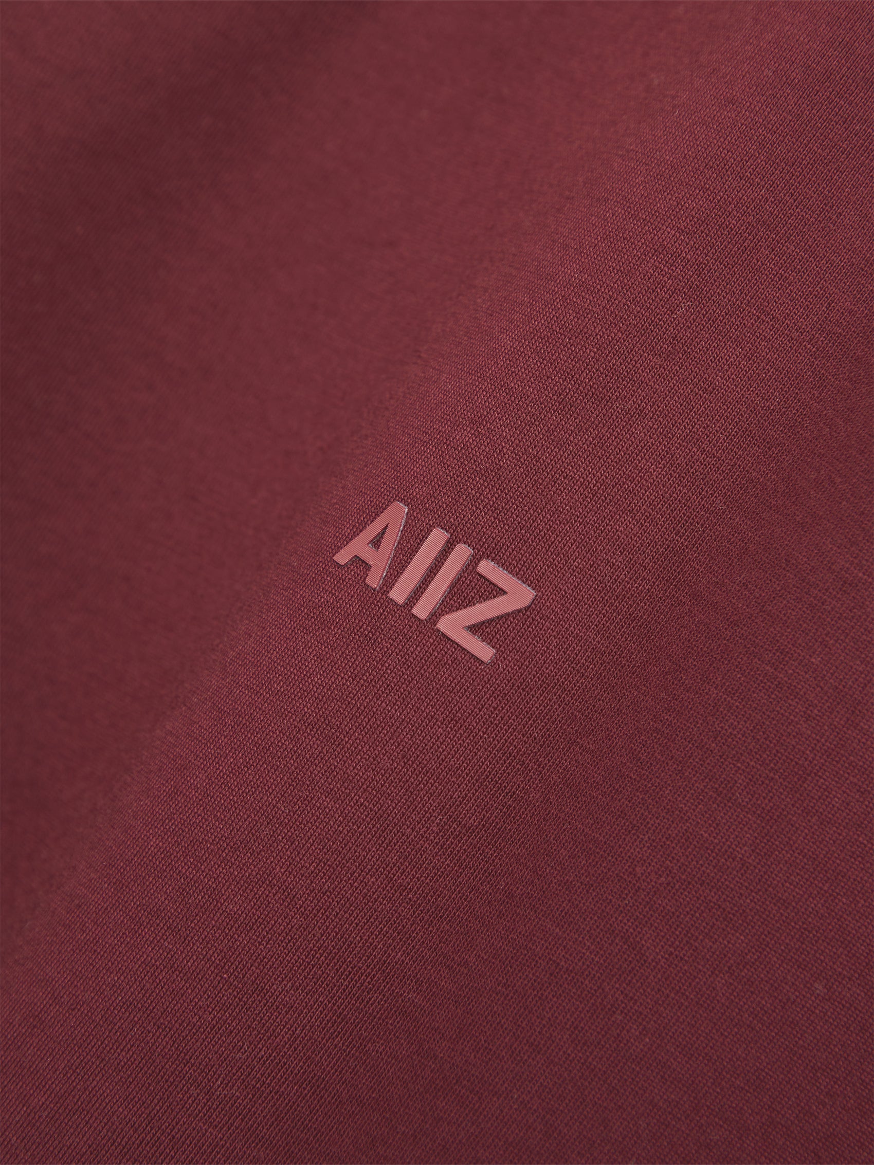 AIIZ Men's AIIZ Logo T-Shirt