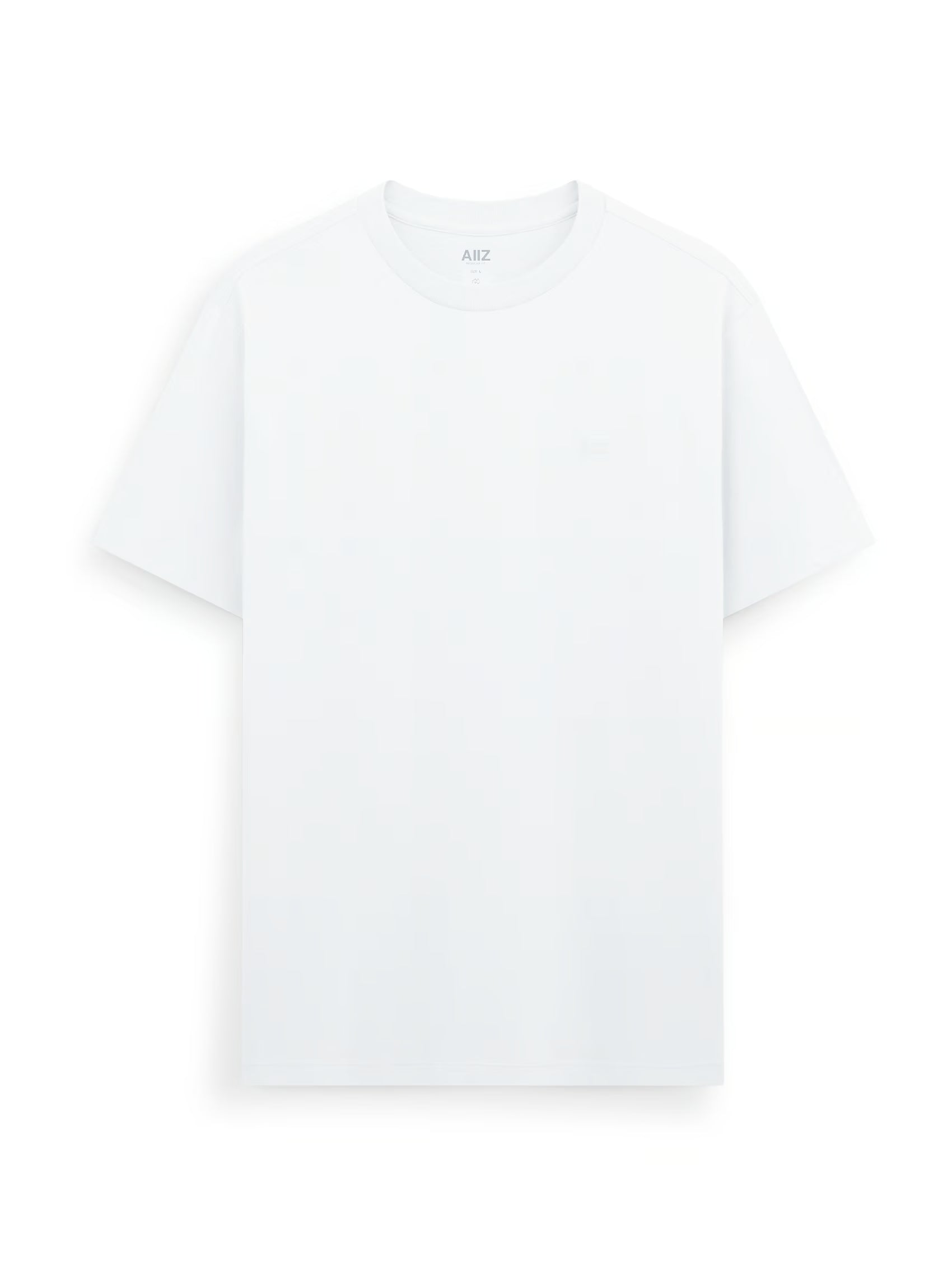AIIZ Men's AIIZ Logo T-Shirt
