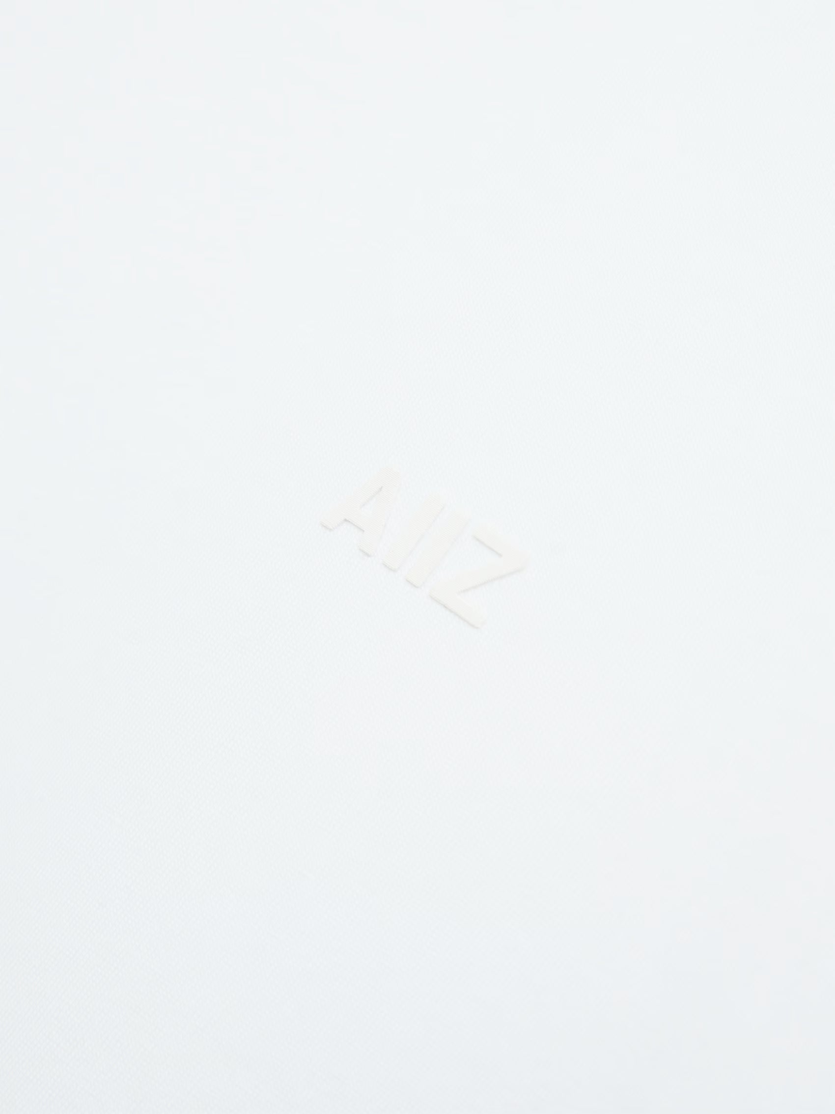 AIIZ Men's AIIZ Logo T-Shirt