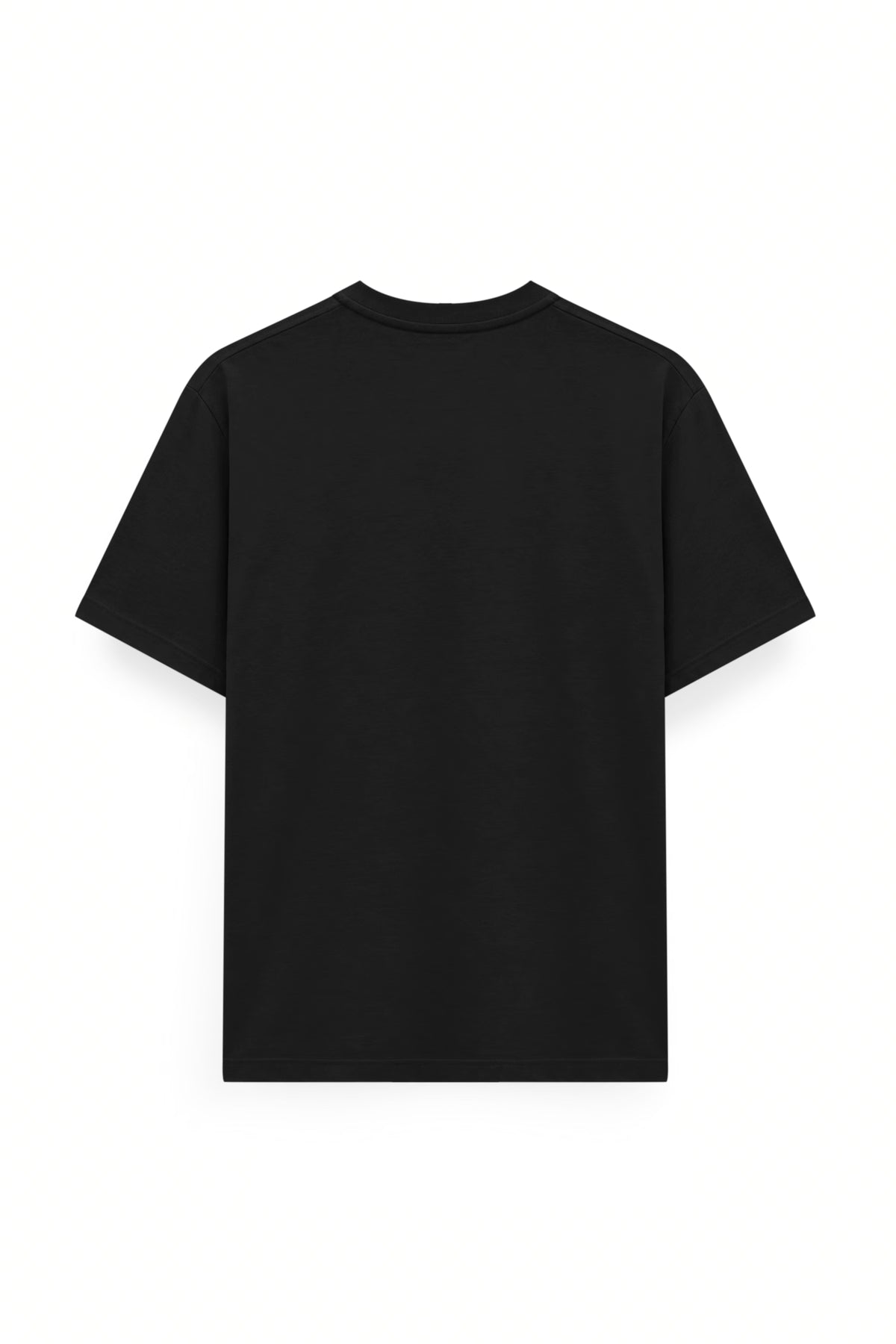AIIZ Men's Lion Logo T-Shirt