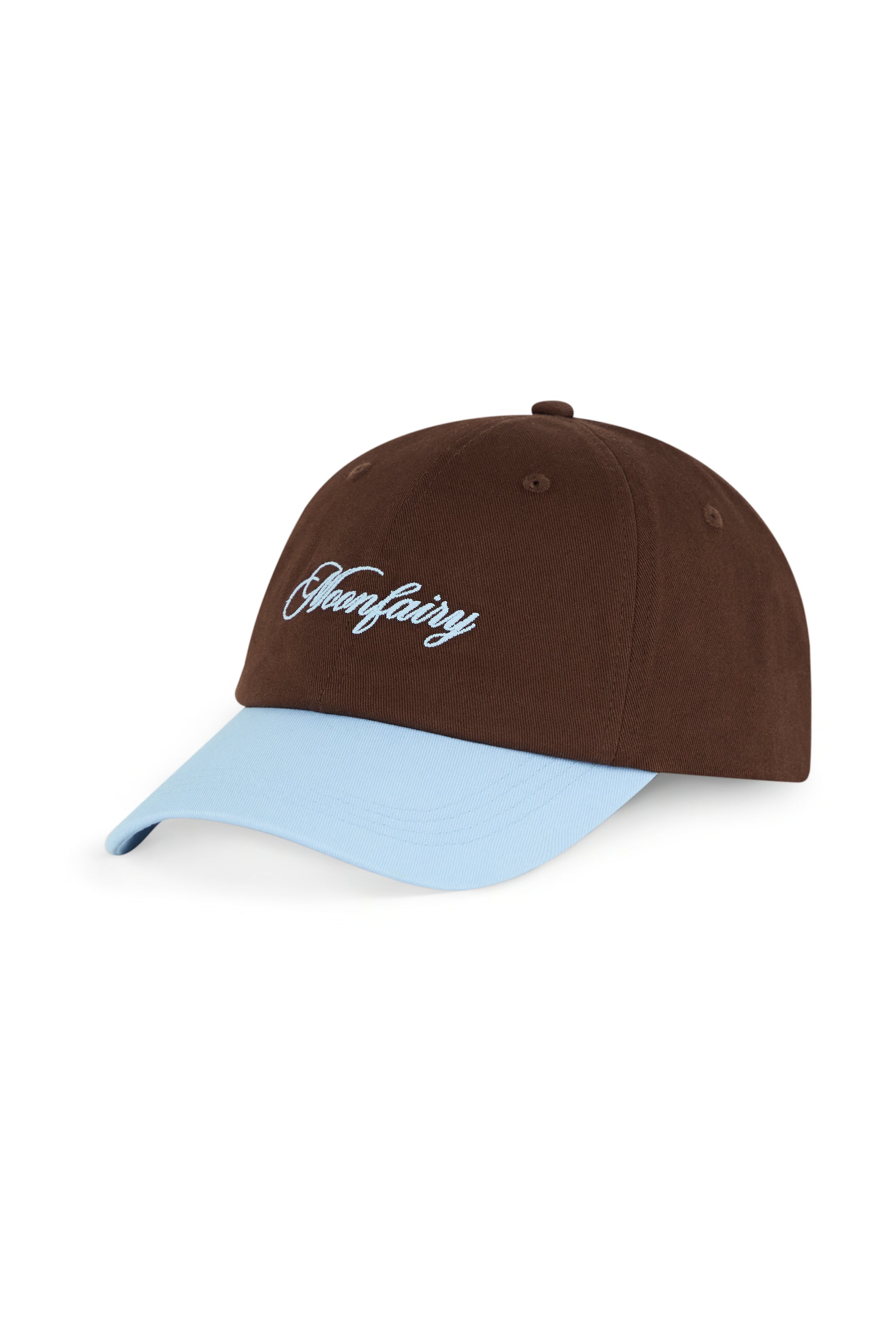 AIIZ Graphic Baseball Cap (Brown / FS)