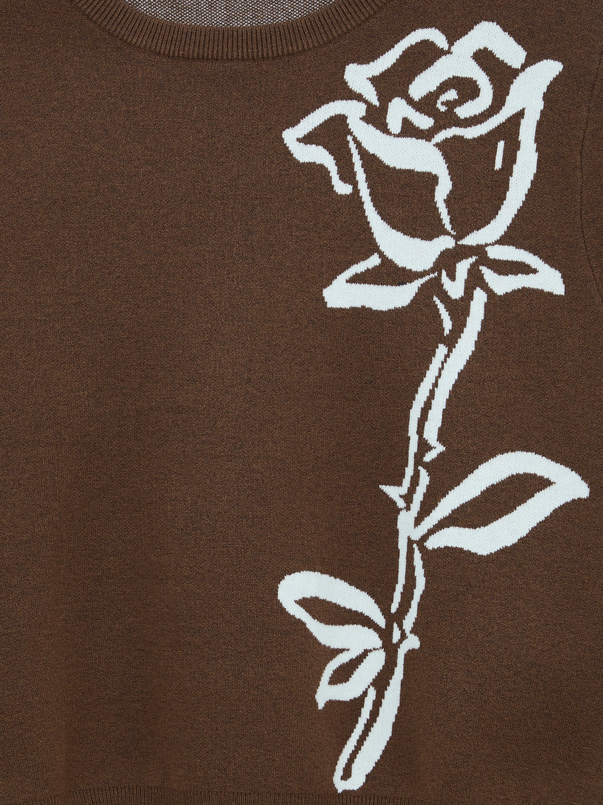 AIIZ Women's Rose Sweater