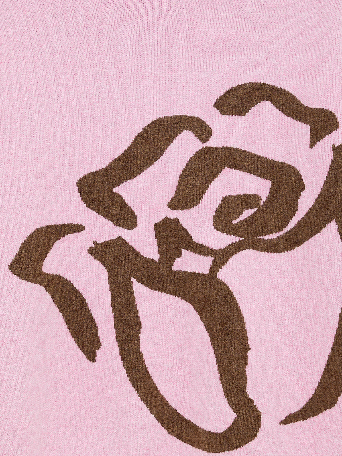 AIIZ Women's Rose Sweater