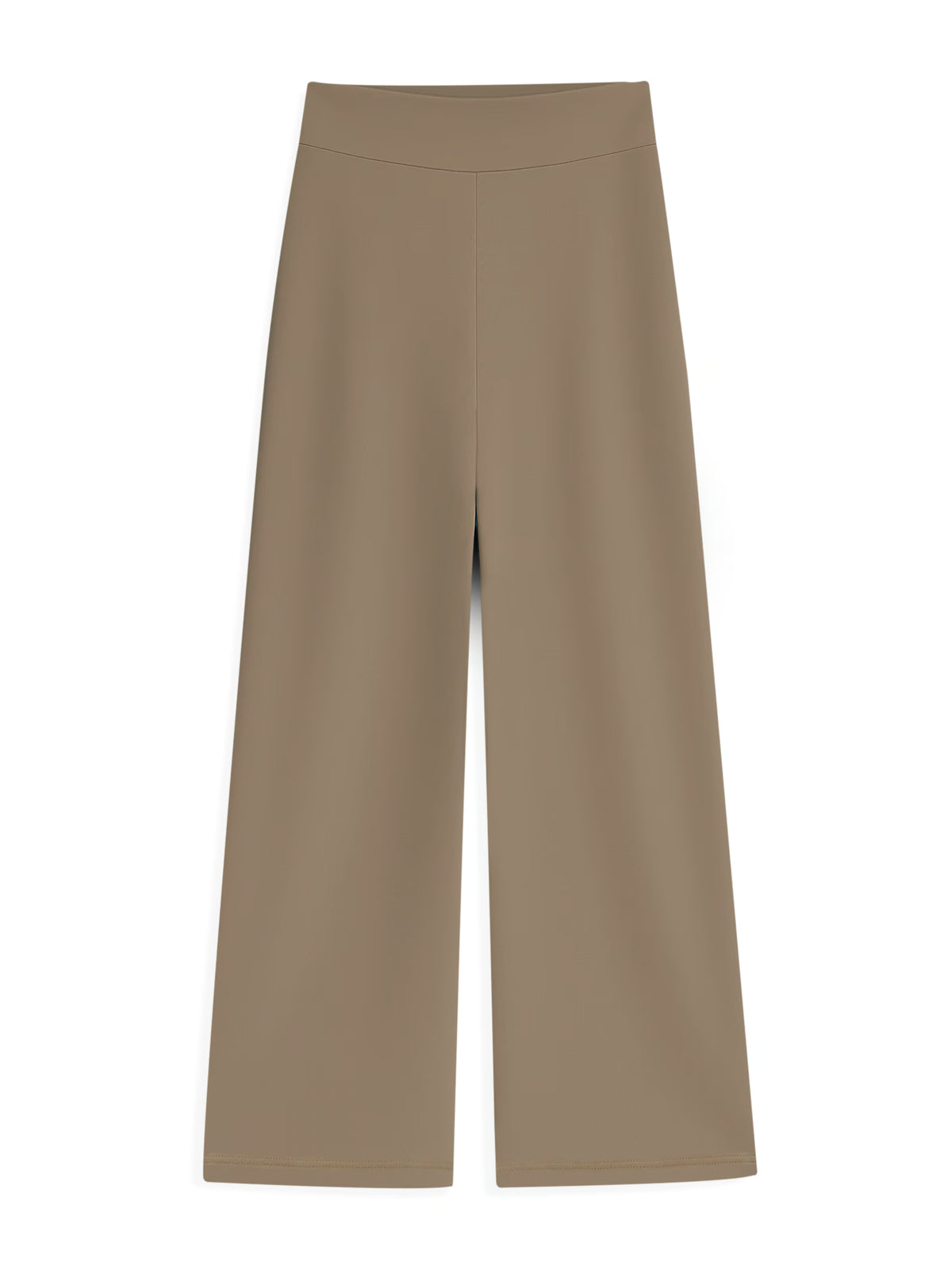 AIIZ Women's High-Rise Wide-Leg Pants (Brown / S)