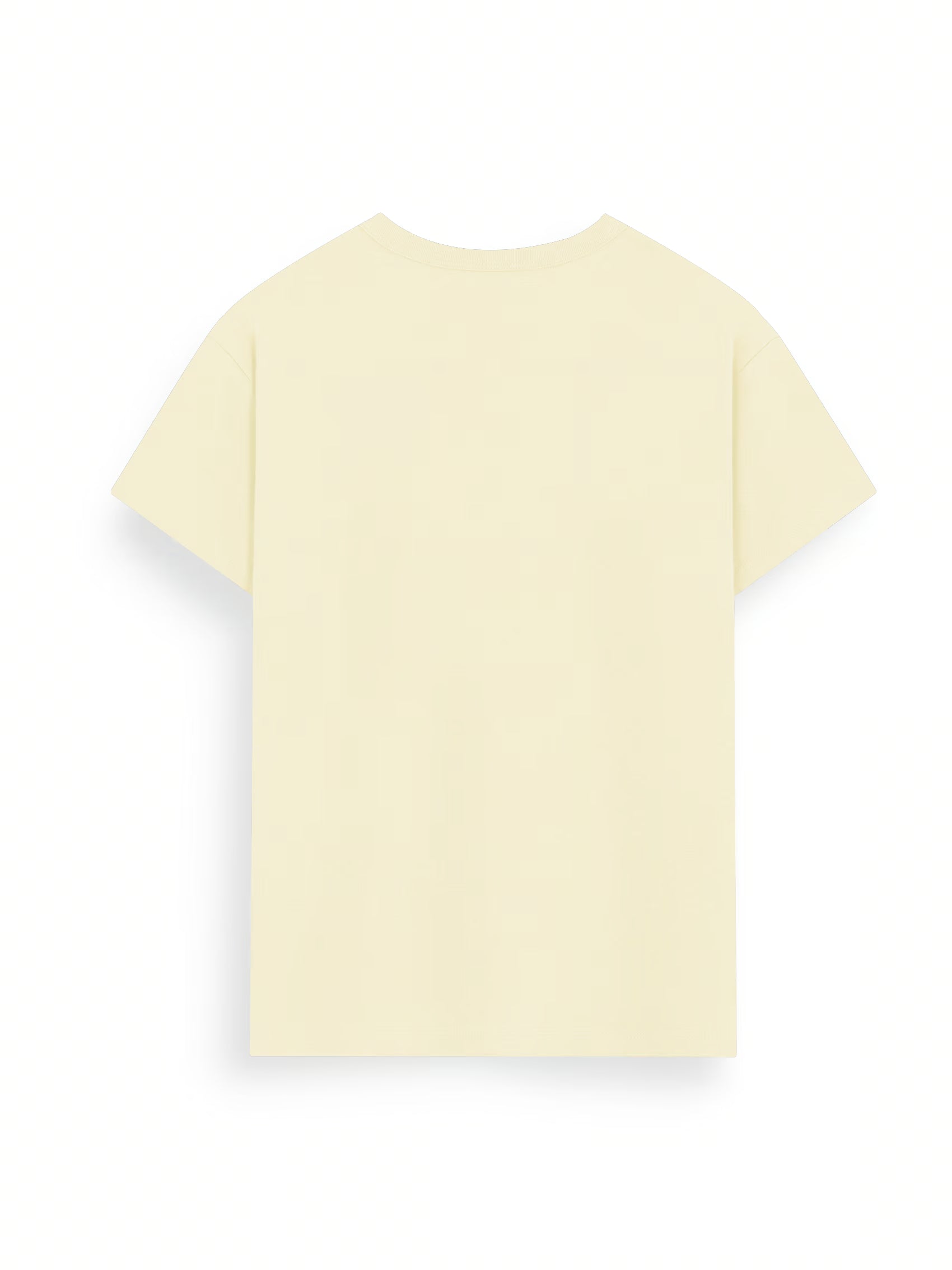 AIIZ Women's Round Neck T-Shirt