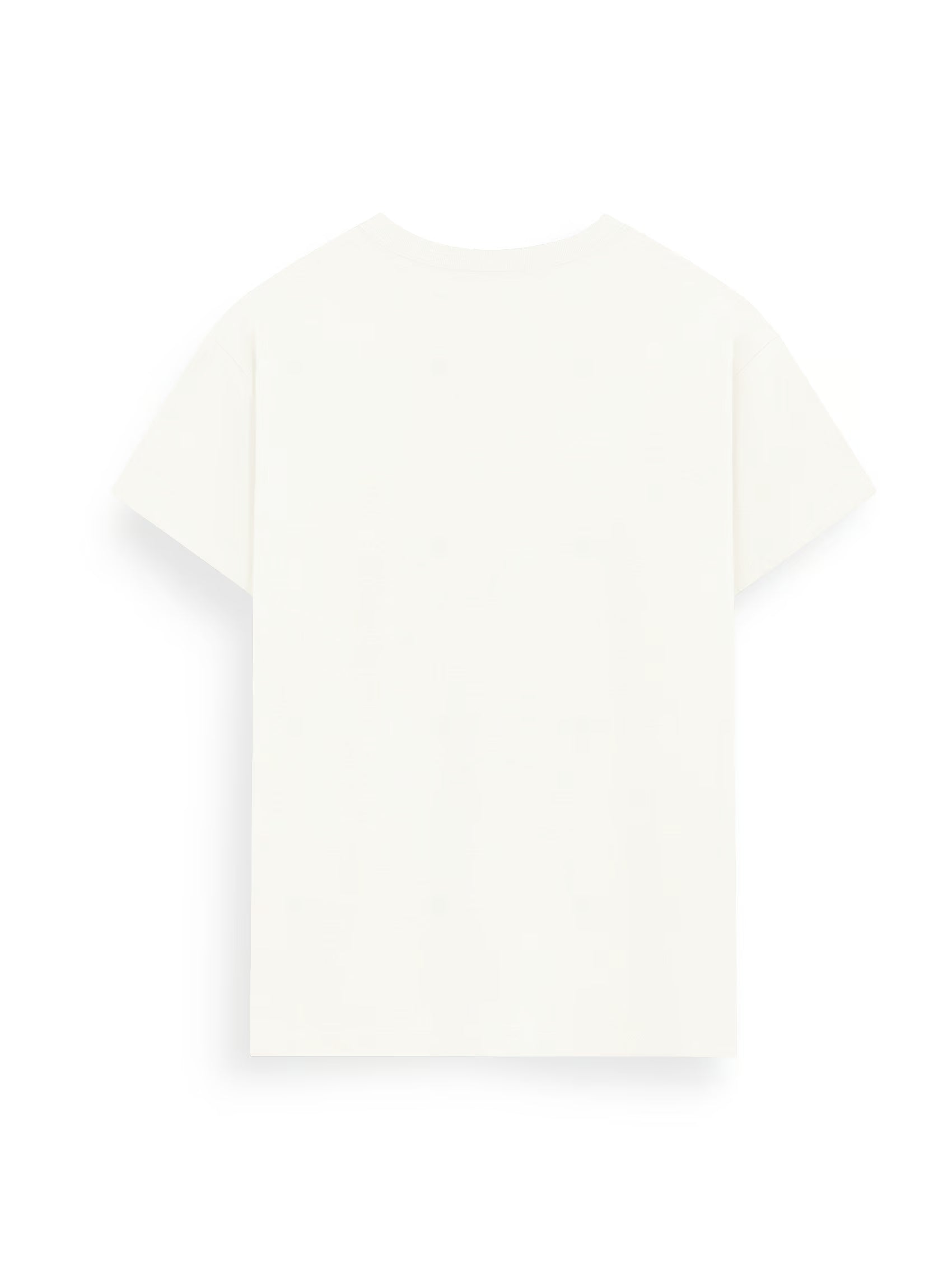 AIIZ Women's Round Neck T-Shirt
